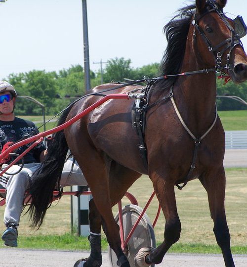 253481_10150279894461208_743116207_9556571_6262143_n[1]