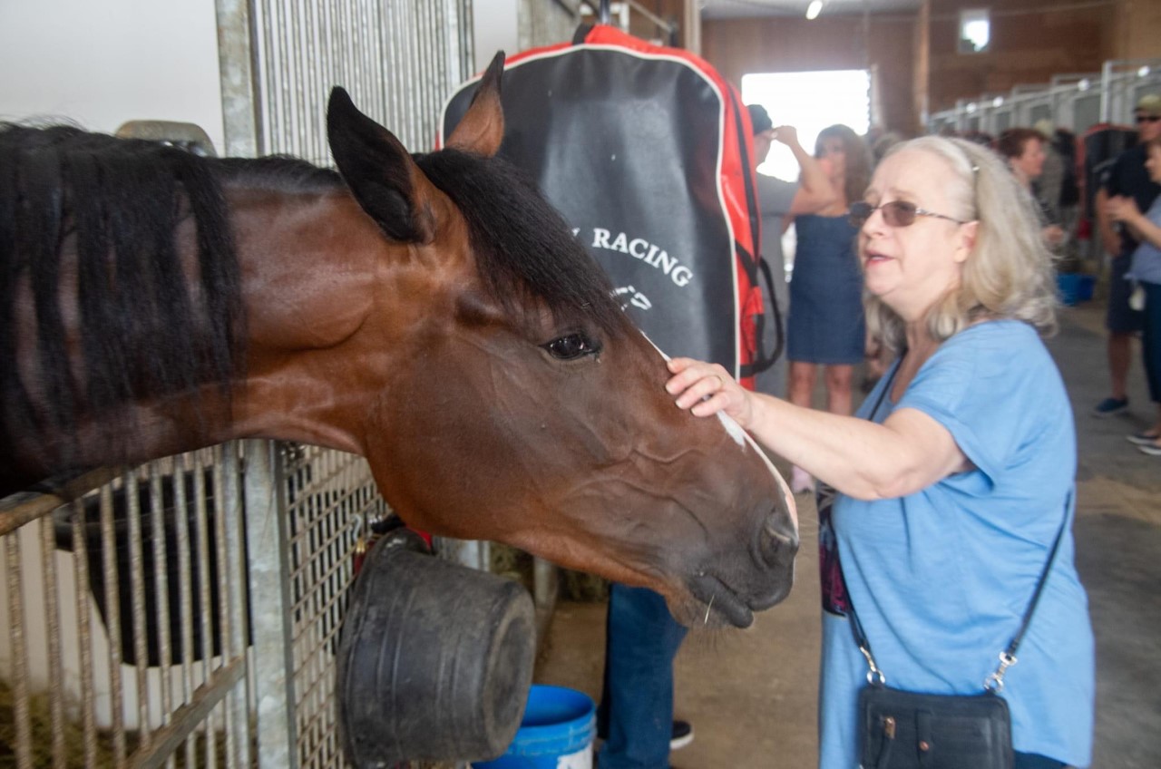 Gallery – LandMark Racing Stables