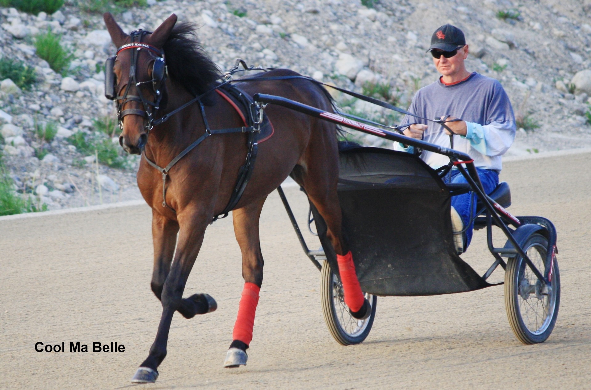 Bell Racing Stable Horses – LandMark Racing Stables